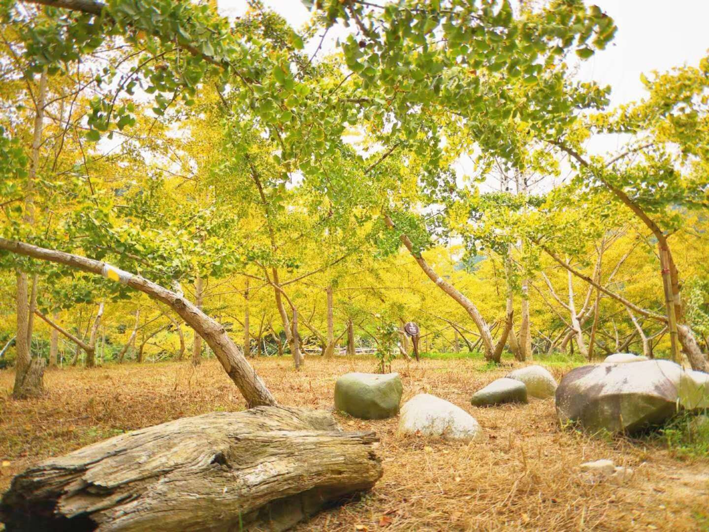 韶关云门山玻璃桥、曹角湾古村、小坑水库、经律论文化小镇、花世界、生肖广场、蓝山源岭南东方温泉酒店，双高铁两晚五星温泉美食享受三天团