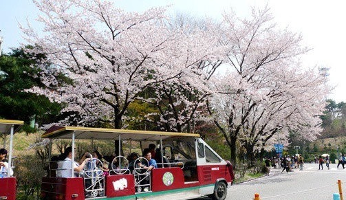 虎門旅行社盤點韓國旅游看點